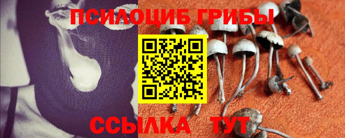 Галлюциногенные грибы ЛСД Шелехов