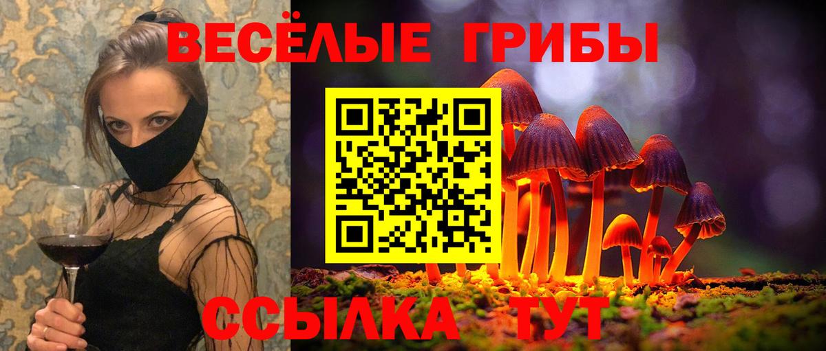 магазин продажи наркотиков  Галлюциногенные грибы GOLDEN TEACHER  Шелехов  Вход с VPN  Галлюциногенные грибы Magic Shrooms 